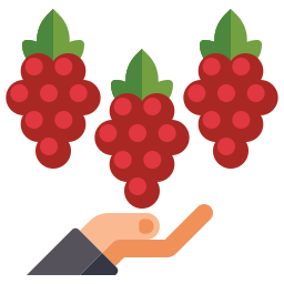 cosecha de uva icono