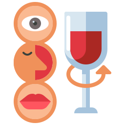 Дегустация вин иконка