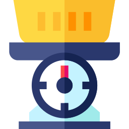 Scale icon