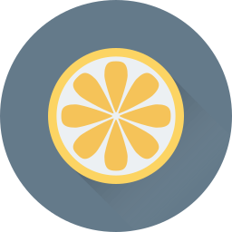 Lemon slice icon