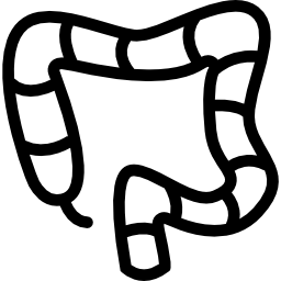 Colon icon