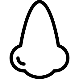 Nose icon