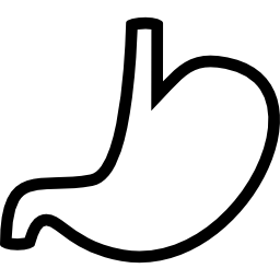 Stomach icon