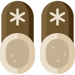 Slippers icon