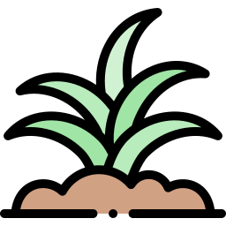 Sprout icon