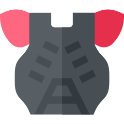 Chest guard icon