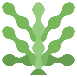 Seaweed icon