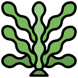 Seaweed icon