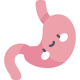 Stomach icon