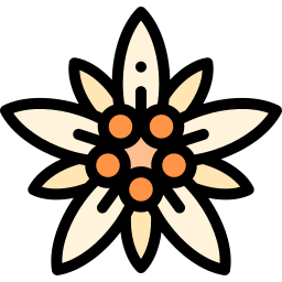 edelweiss Icône