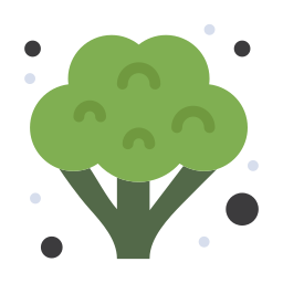 Broccoli icon