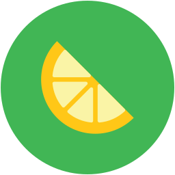 Lemon slice icon