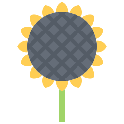 Sunflower icon