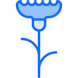 수레 국화 icon