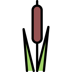 リード icon