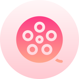 Film reel icon