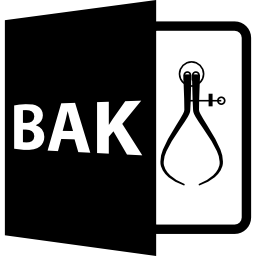 símbolo de formato de archivo bak icono
