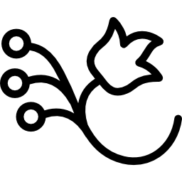 Flower on a branch with three seeds icon