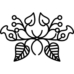 kwiatowy wzór o złożonej symetrii ikona