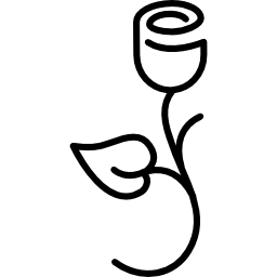 장미 한 송이 icon