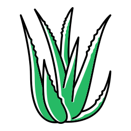 Plant leaf icon