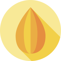 mandel icon