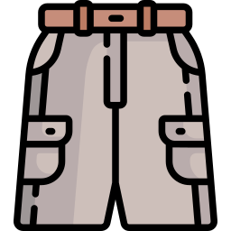 Shorts icon