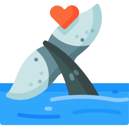 Whale icon