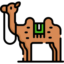 Camel icon