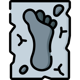 Footprint icon