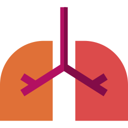 Lungs icon