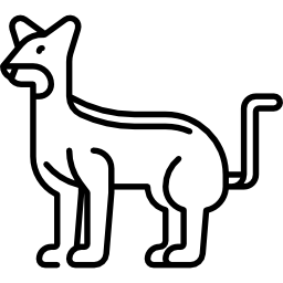 pantera icono