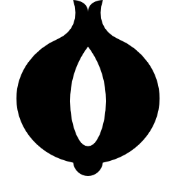 Onion icon