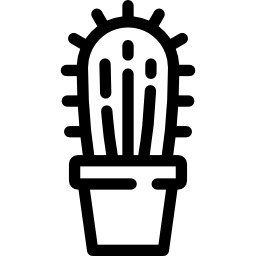 cactus icoon