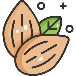 Almonds icon