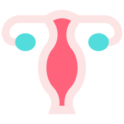 baarmoeder icoon