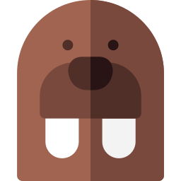 Walrus icon