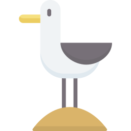 Seagull icon