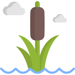 Bulrush icon