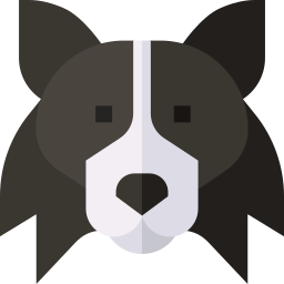 Border collie icon