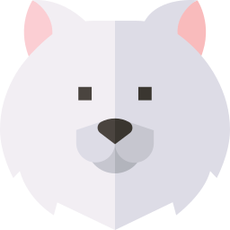 Samoyed icon