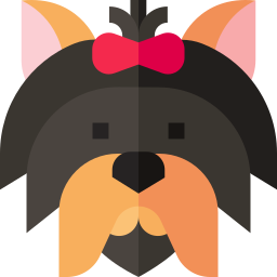 yorkshire terrier Ícone