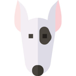 bull terrier Icône