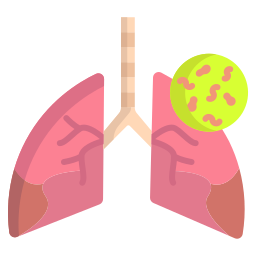 pulmões infectados Ícone