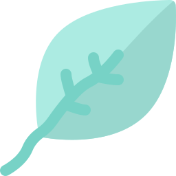 Leaf icon