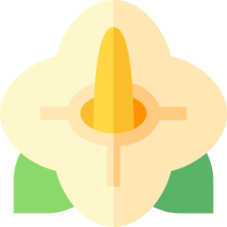 blume icon