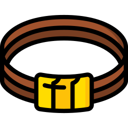 Bracelet icon