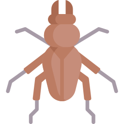 Insect icon