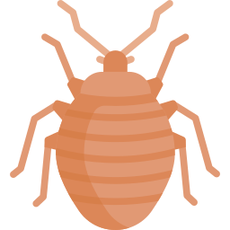 Bedbug icon