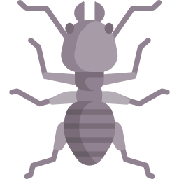 Insect icon